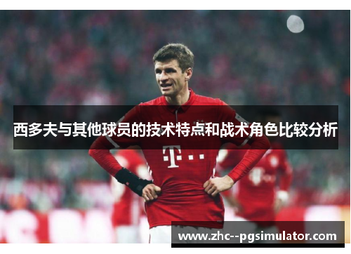 西多夫与其他球员的技术特点和战术角色比较分析 西多夫与其他球员的技术特点和战术角色比较分析