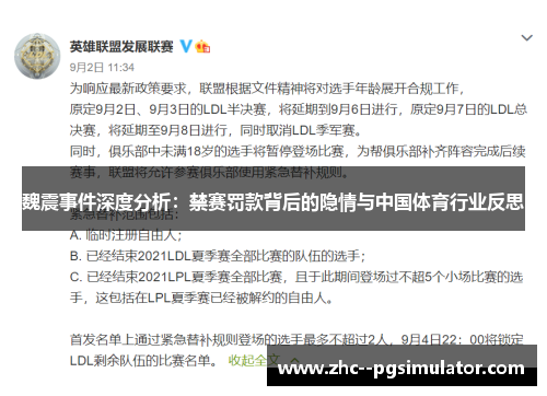 魏震事件深度分析:禁赛罚款背后的隐情与中国体育行业反思 魏震事件深度分析:禁赛罚款背后的隐情与中国体育行业反思